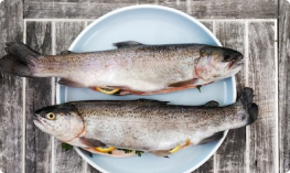 Bệnh Gout ăn cá được không? Nên ăn loại cá nào?